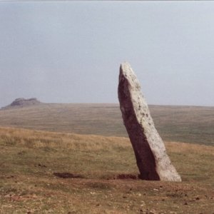 Shoveldon 90.jpg