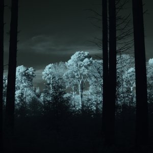 IR Picture Speech House 1.JPG