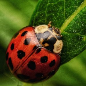_DSC6323-01.jpeg
