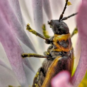 _DSC5379-01.jpeg