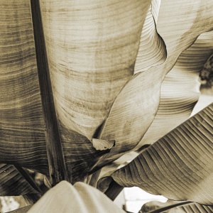 B&W Film-01215.jpg