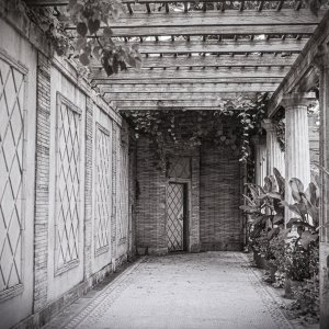 B&W Film-01236.jpg
