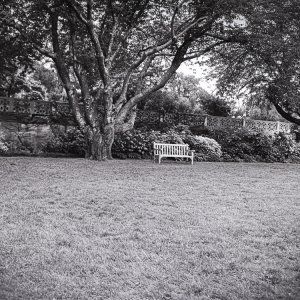 B&W Film-01239.jpg