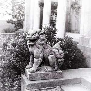 B&W Film-01240.jpg