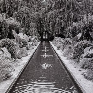 B&W Film-01246.jpg