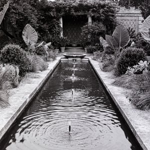 B&W Film-01248.jpg