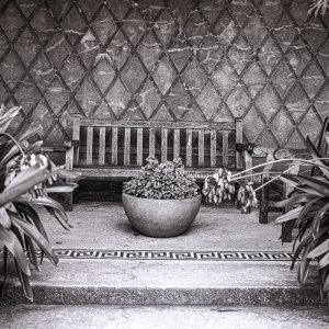 B&W Film-01251.jpg