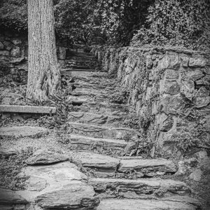 B&W Film-.jpg