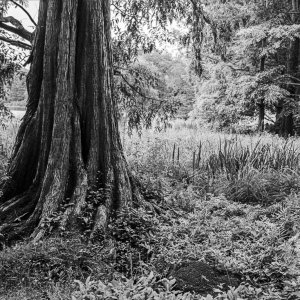 B&W Film-01216.jpg