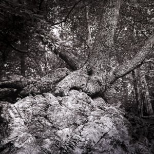 B&W Film-01218.jpg