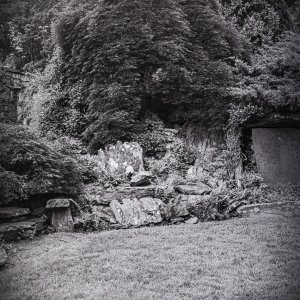 B&W Film-01222.jpg