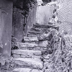 B&W Film-01224.jpg
