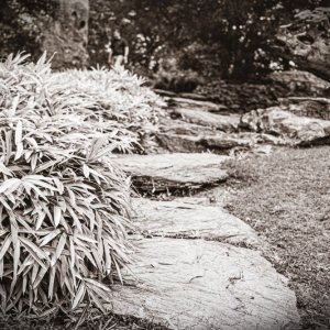 B&W Film-01228.jpg