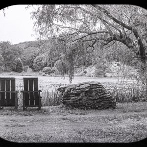 B&W Film-01244.jpg