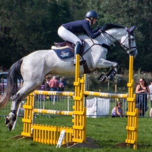 horses (17).jpg