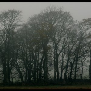 B McDonald 2412 Port 1.JPG