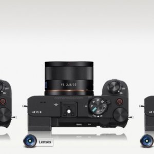 Media 'IMG_0487.jpeg' in album 'Stuff'