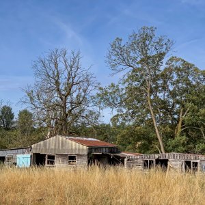 Media 'Abandoned Buildings.jpg' in album 'Default Album'