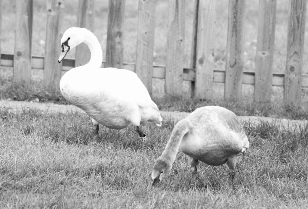 0E341573-B829-4EBC-B885-2B893A77601F.jpeg