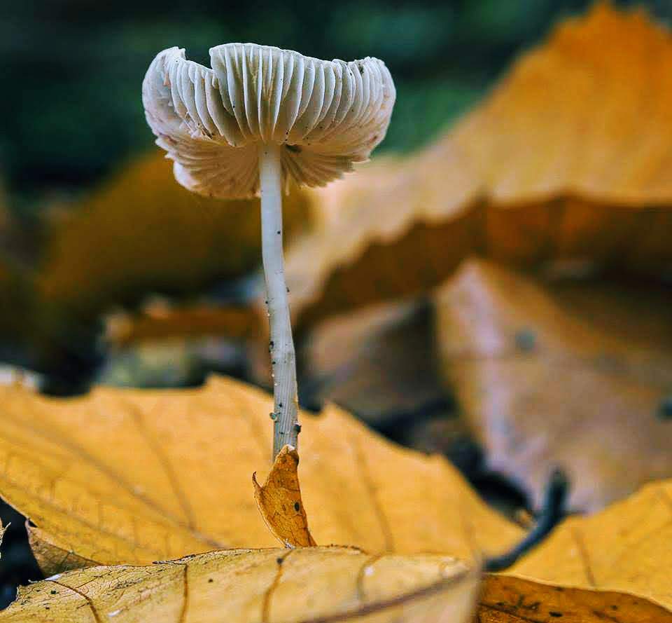 2018-11-05 23.22.14.jpg