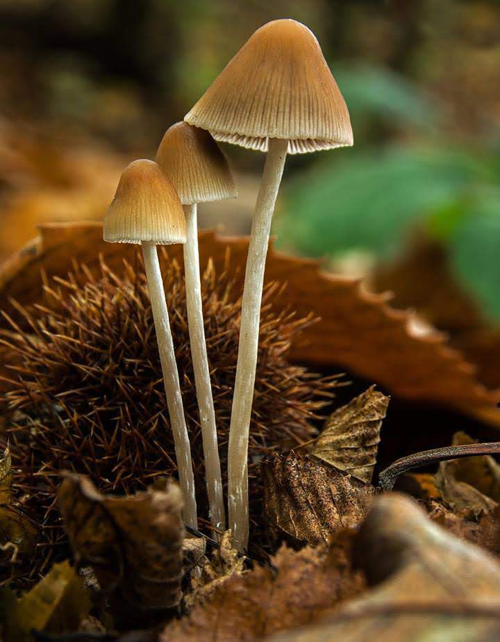 2018-11-05 23.26.10.jpg