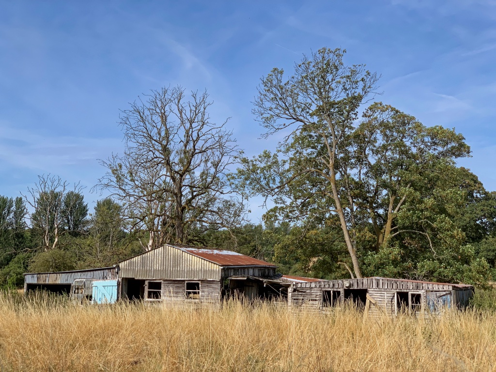 Abandoned Buildings.jpg