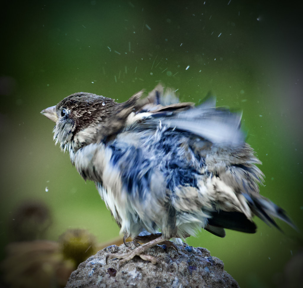 After a Bath