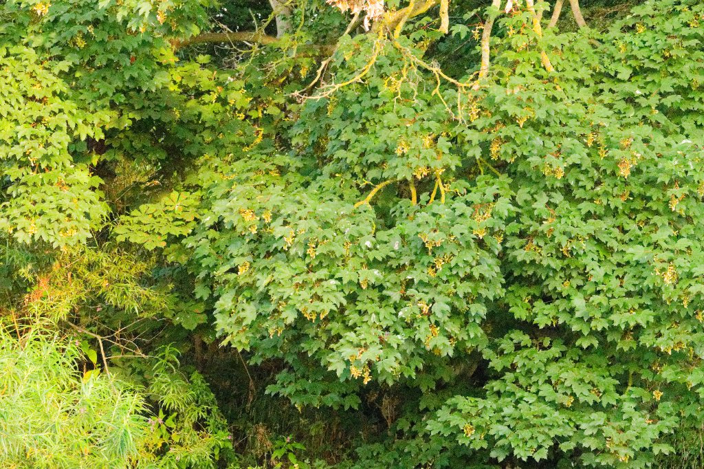 AV6A0613_DxO.jpg