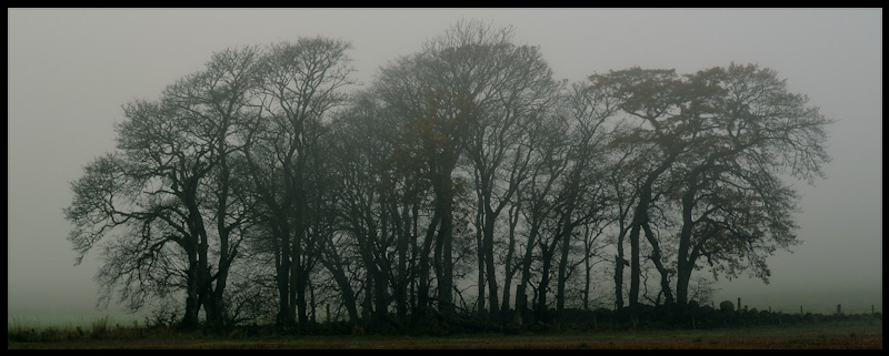 B McDonald 2412 Port 1.JPG