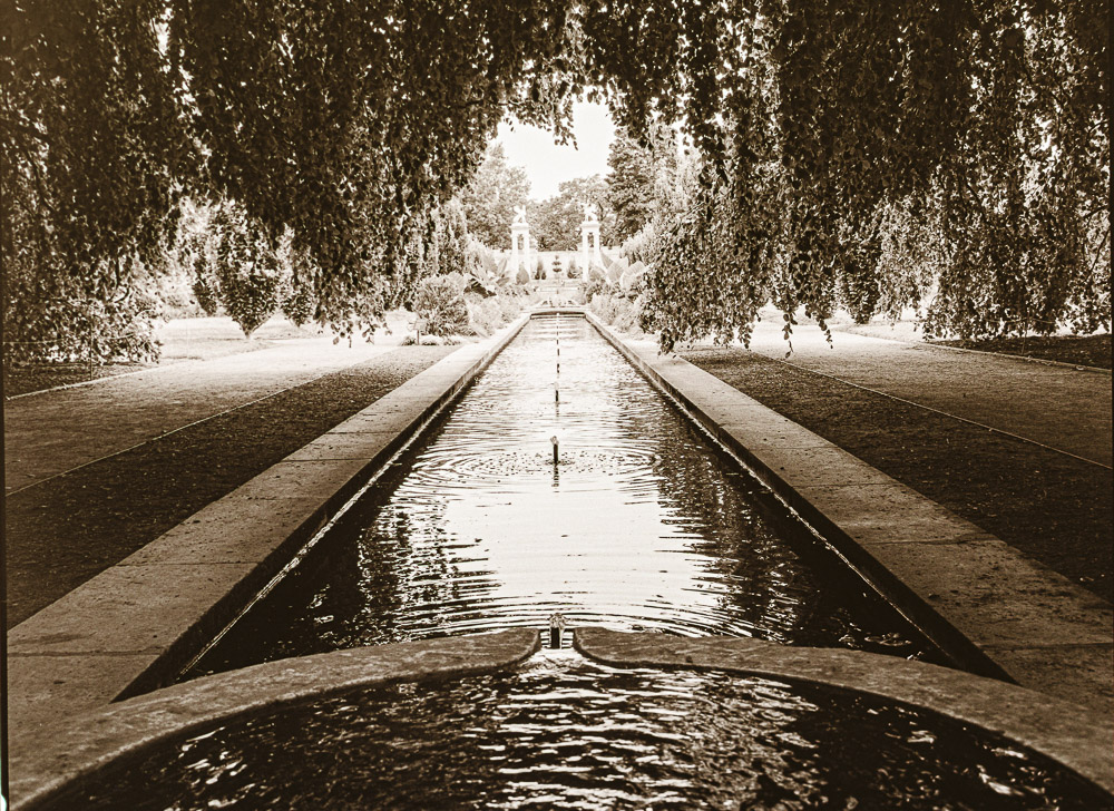 B&W Film-01210.jpg