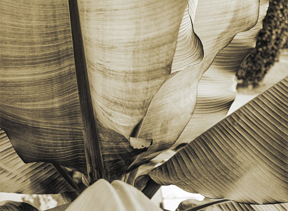 B&W Film-01215.jpg