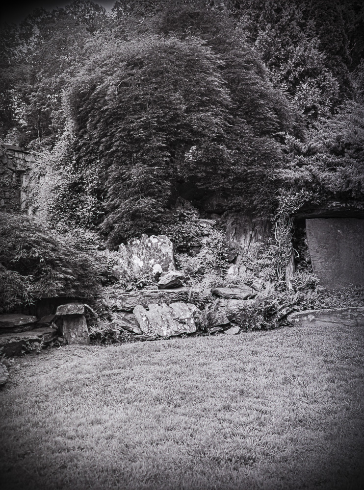 B&W Film-01222.jpg