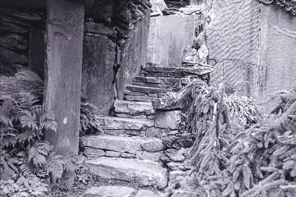 B&W Film-01224.jpg