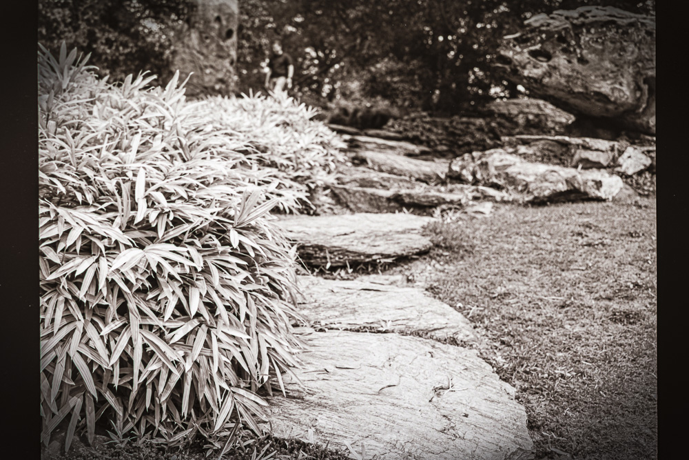 B&W Film-01228.jpg