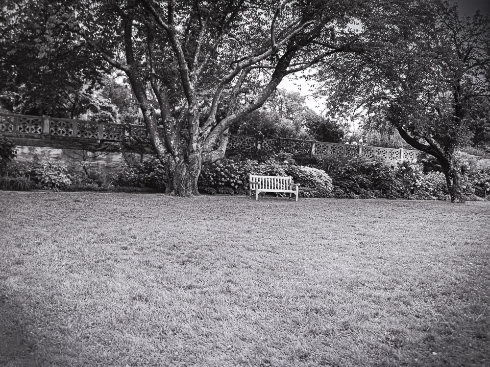 B&W Film-01239.jpg