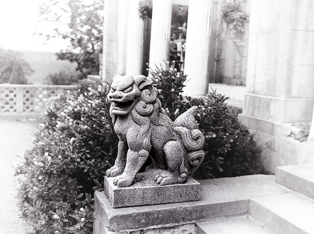 B&W Film-01240.jpg