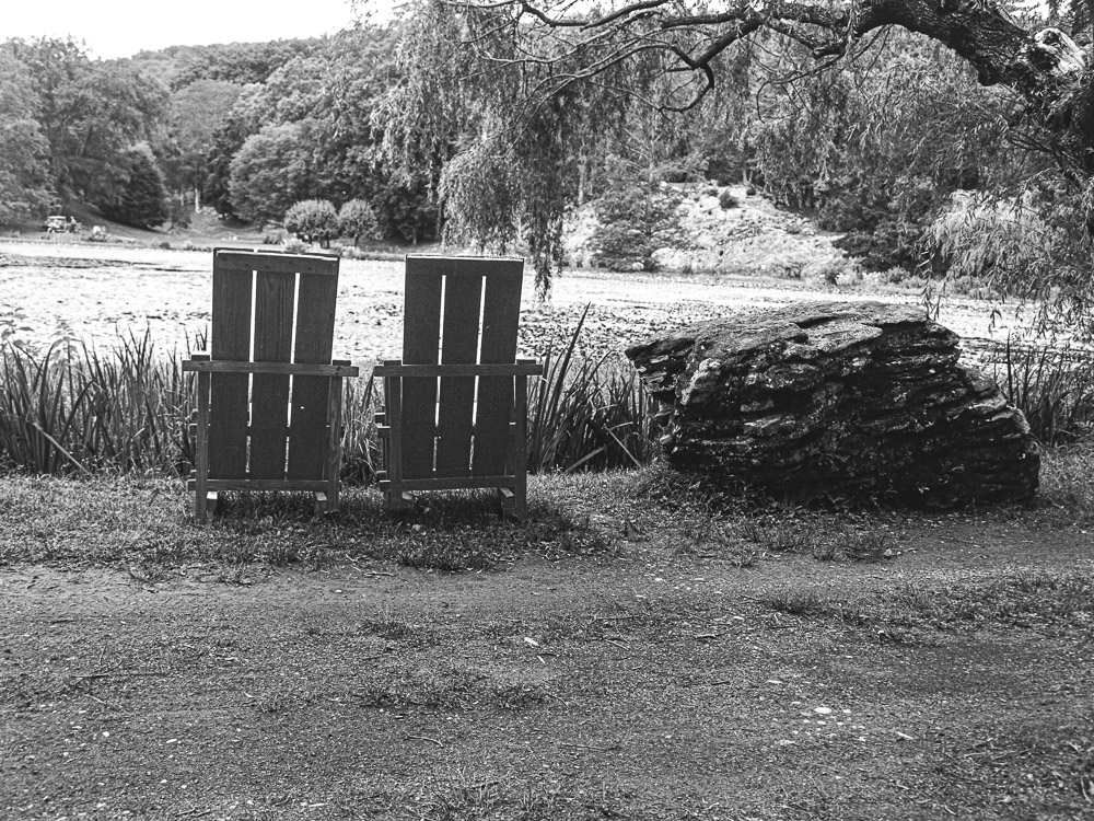 B&W Film-01242.jpg