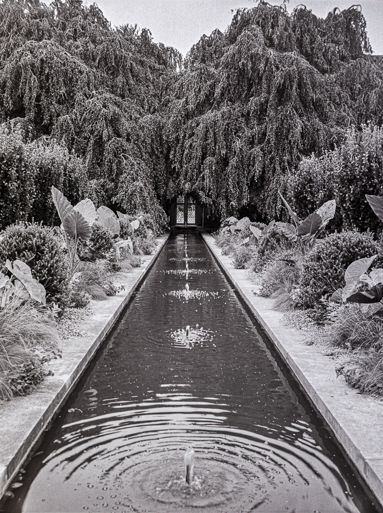 B&W Film-01246.jpg