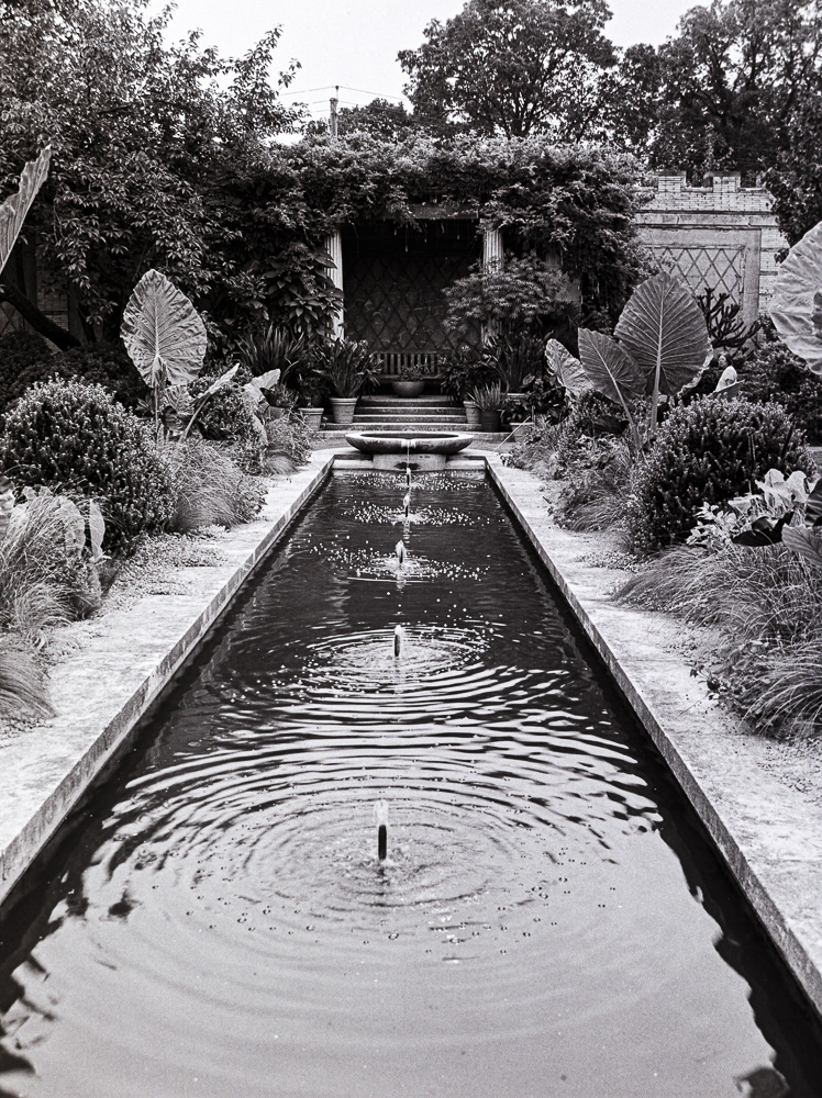 B&W Film-01248.jpg