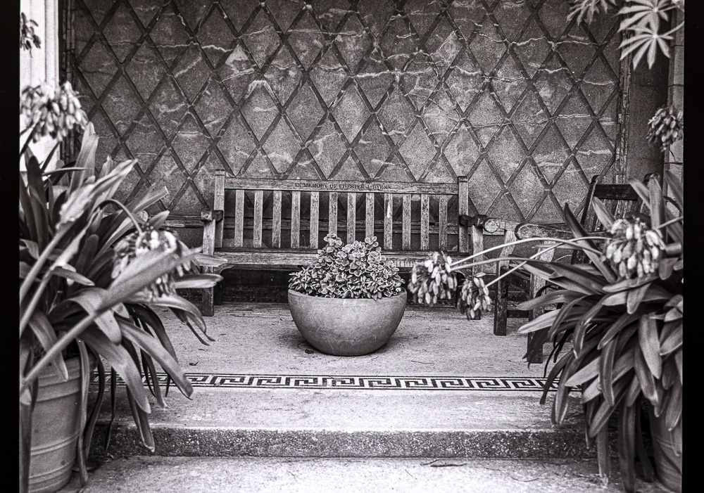 B&W Film-01251.jpg