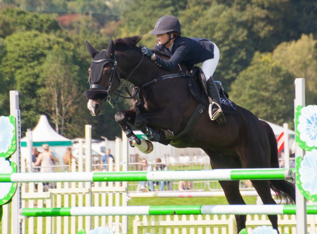 horses (14).jpg