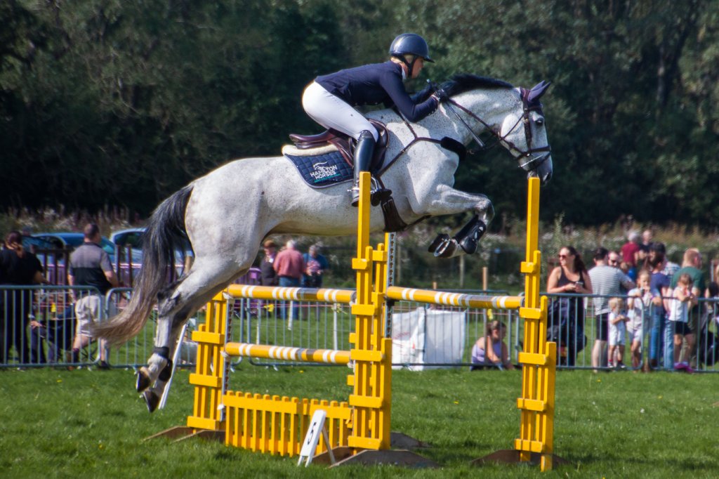 horses (17).jpg