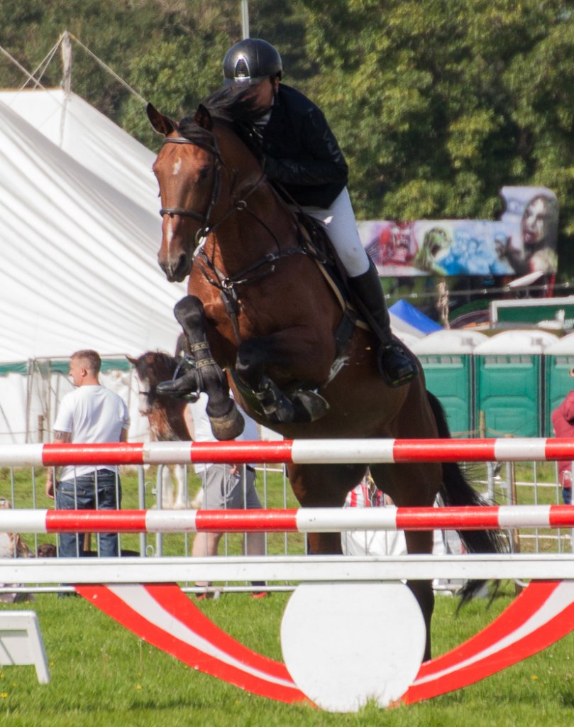 horses (19).jpg