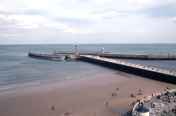 IMAGE301s.jpg