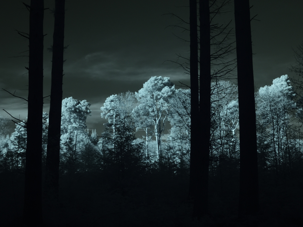 IR Picture Speech House 1.JPG