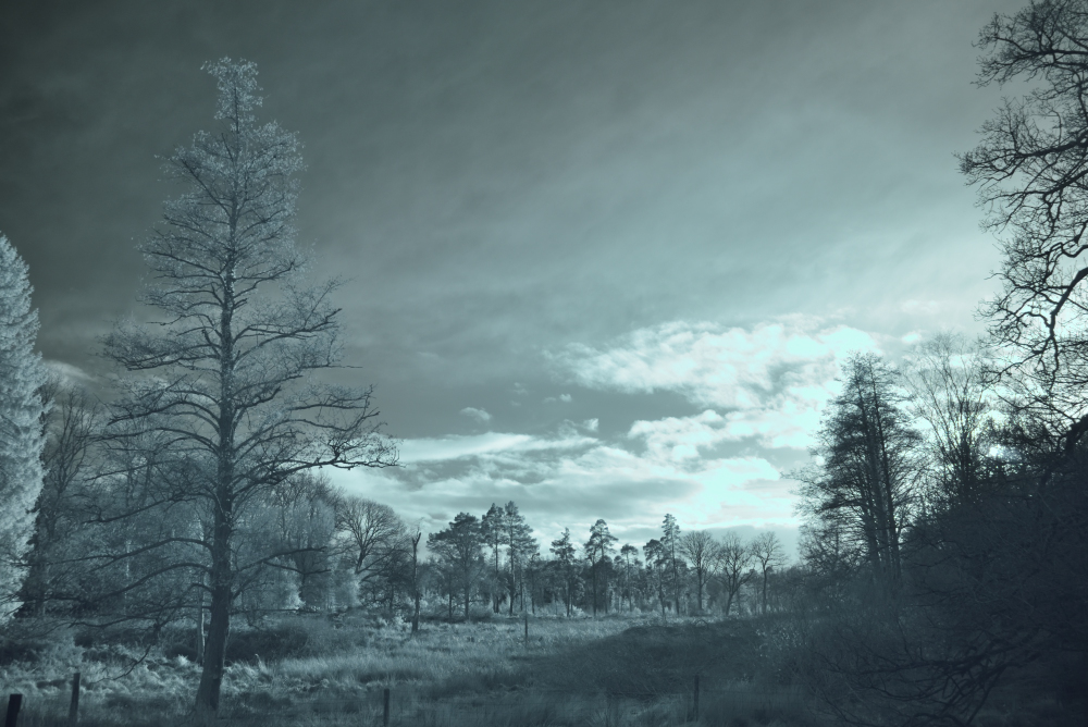 IR Picture Speech House 3.JPG