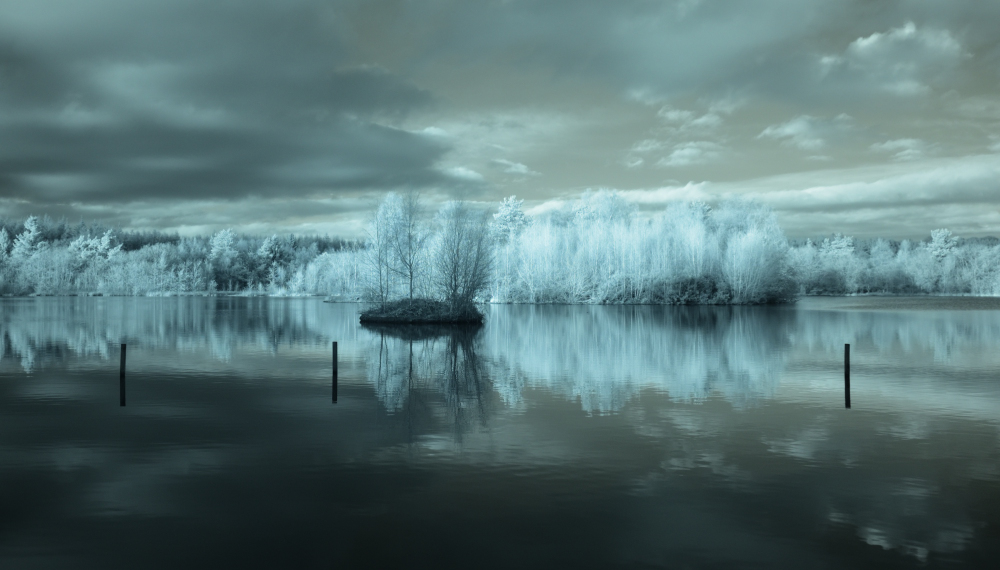 IR Picture Speech House 4.JPG