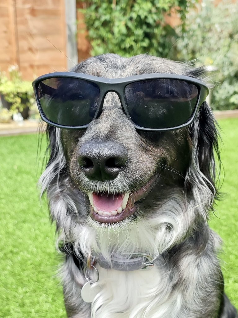 it's hip to be square