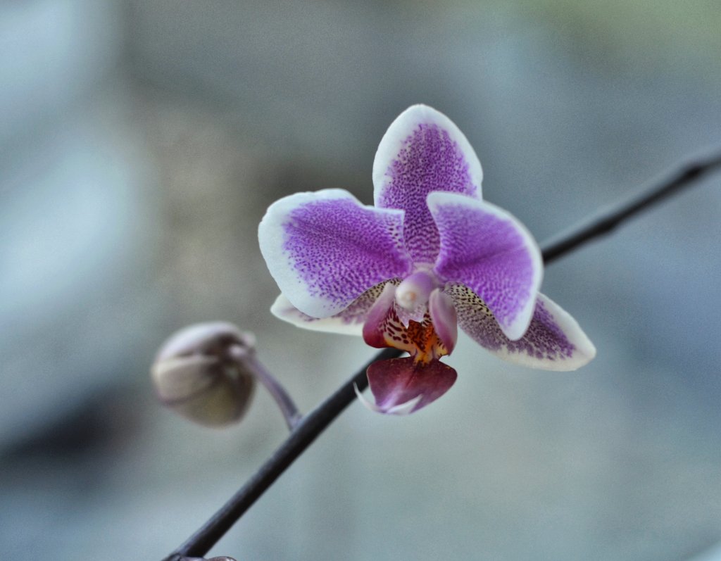 L EBEBBA75-A5AE-4EF1-B1B2-9ED06B551BD3.jpeg