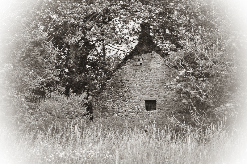 Old Shed Sepia.jpg